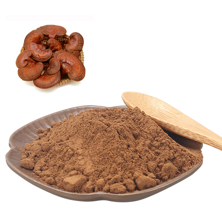 Best Value: Organic Ganoderma Powder Bulk Deals